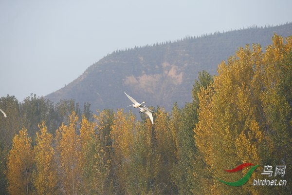 _E8J0305.jpg