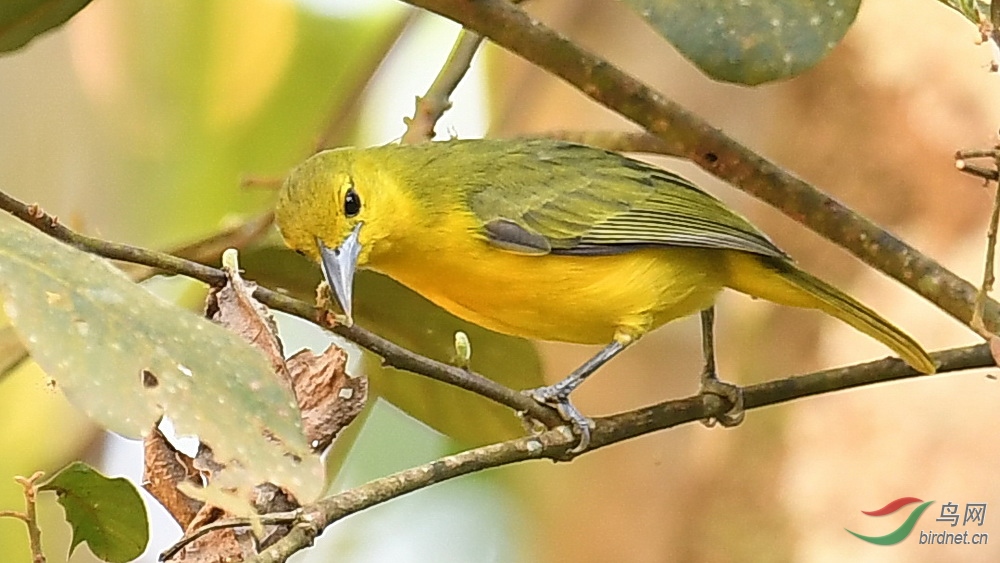 DSC_0775.JPG