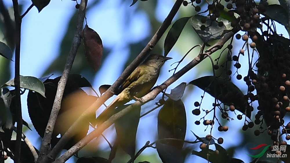 DSC_0818.JPG