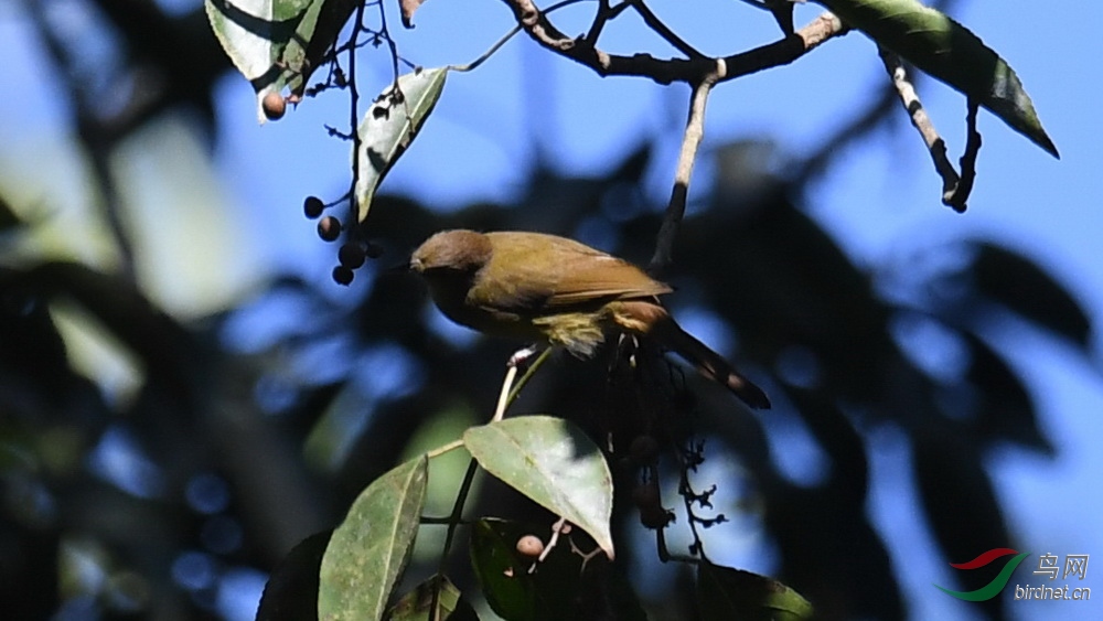 DSC_0814.JPG