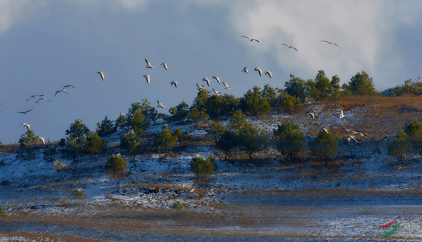 9K0A0867_1-W.jpg