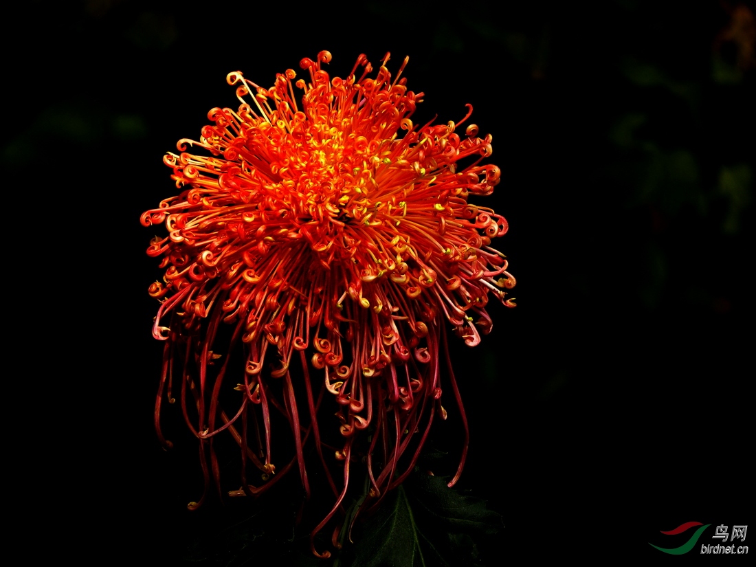 DSCN2766.JPG