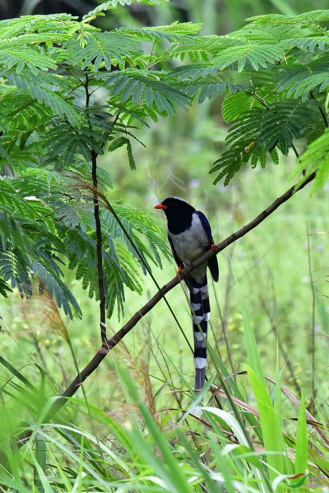 DSC_1116.JPG