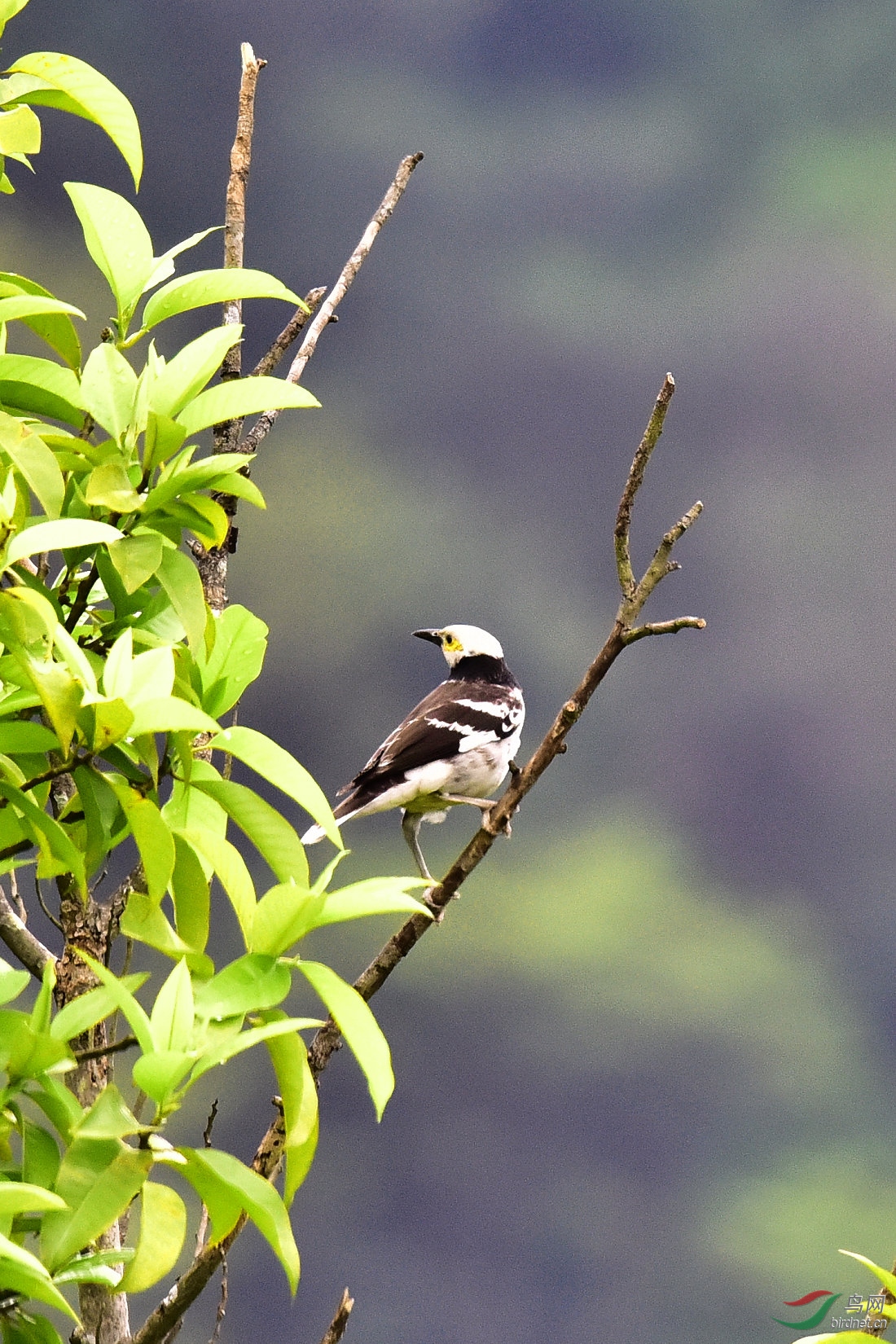 DSC_0685.JPG