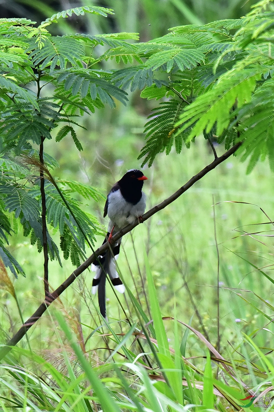DSC_1118.JPG