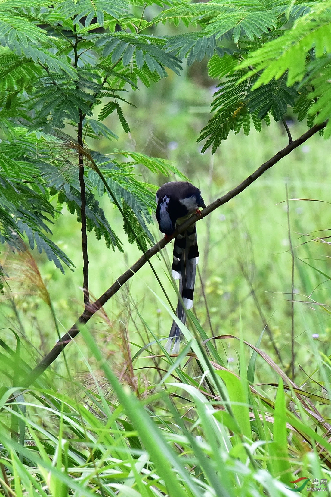 DSC_1121.JPG