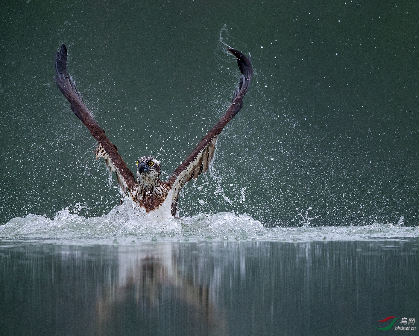 DO5890 ������ A1 ����֮ԡThe bath of the king.jpg