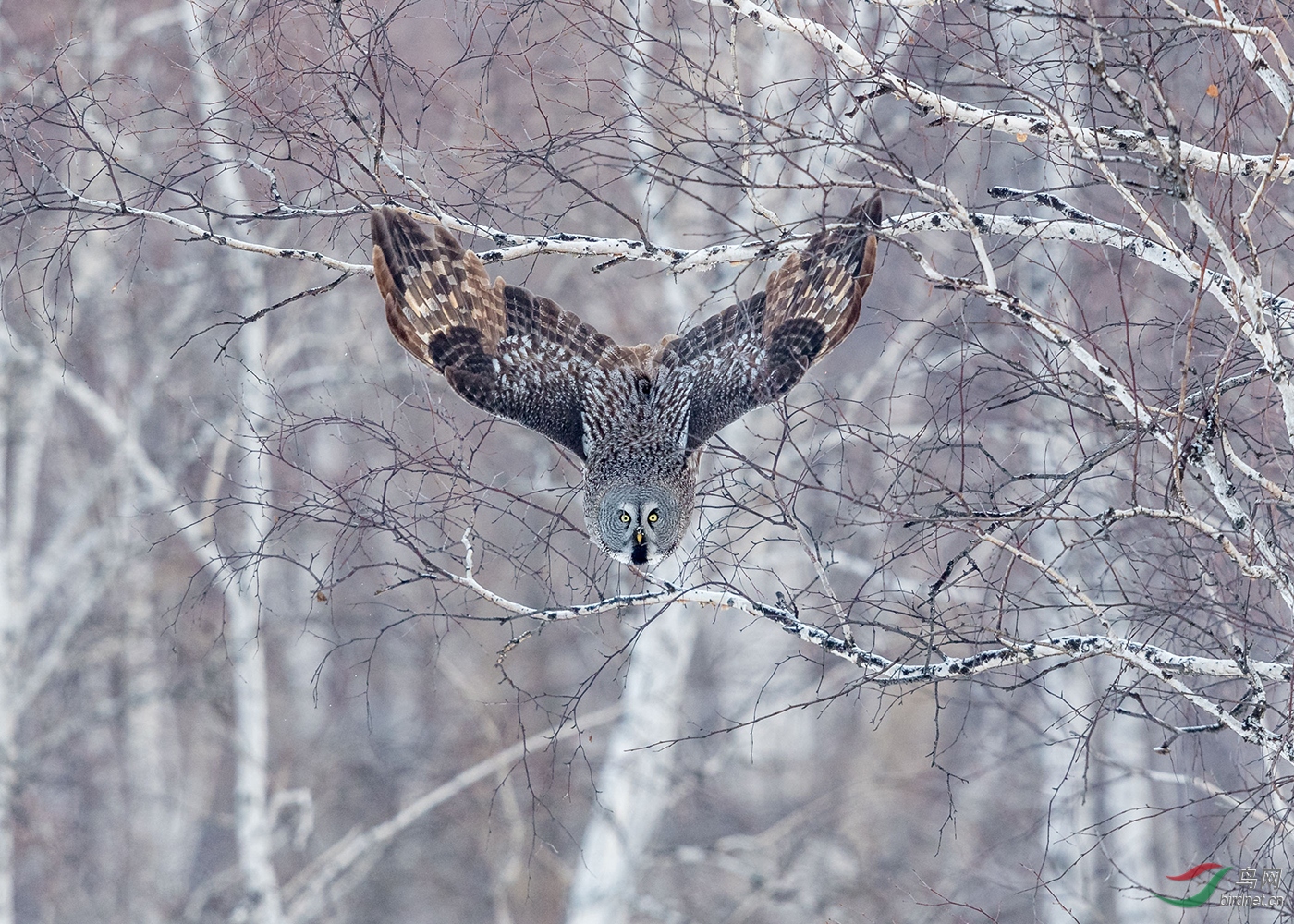 DO5890 �ڰ��� B2 ���ٽ���Landing quickly.jpg