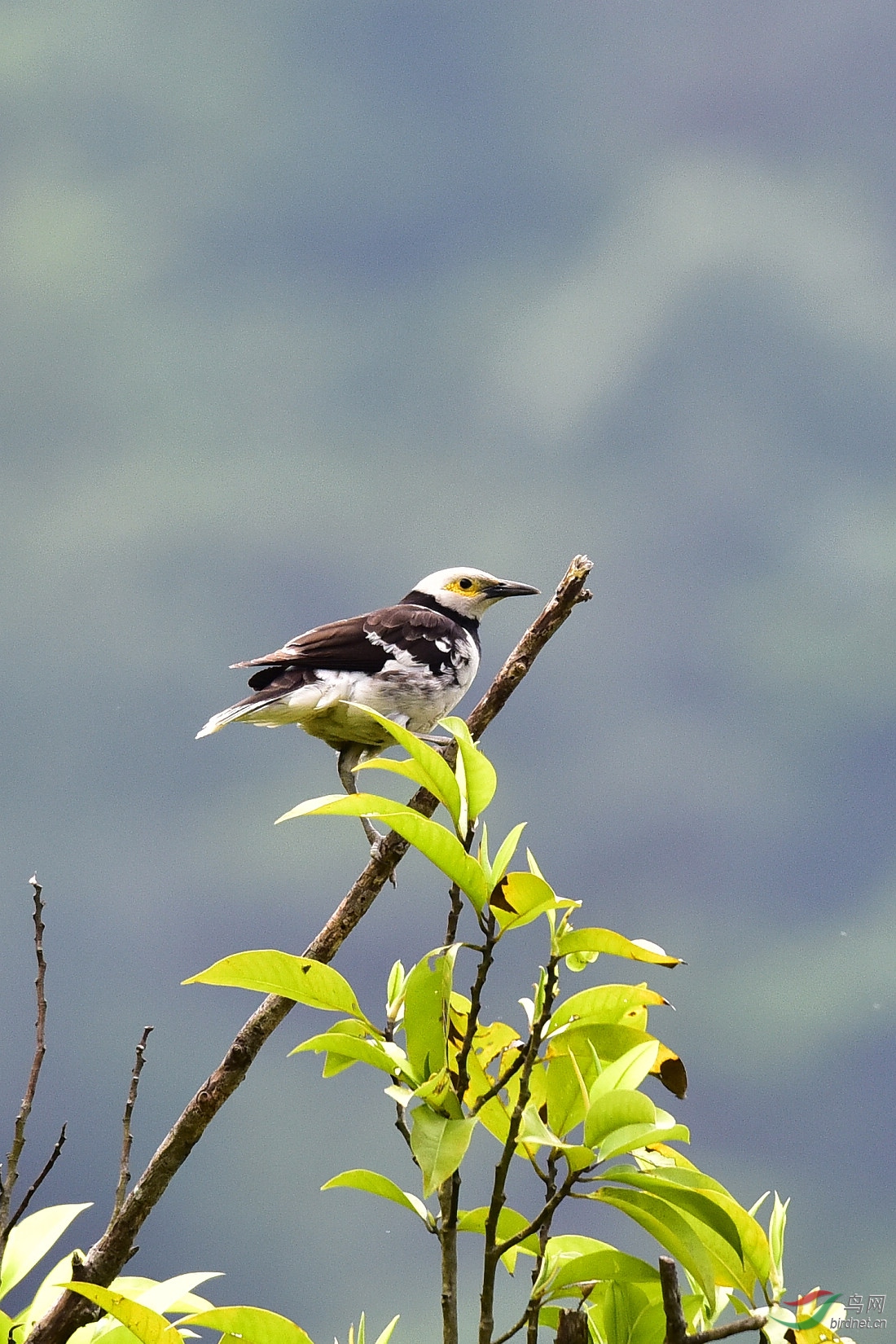 DSC_0693.JPG