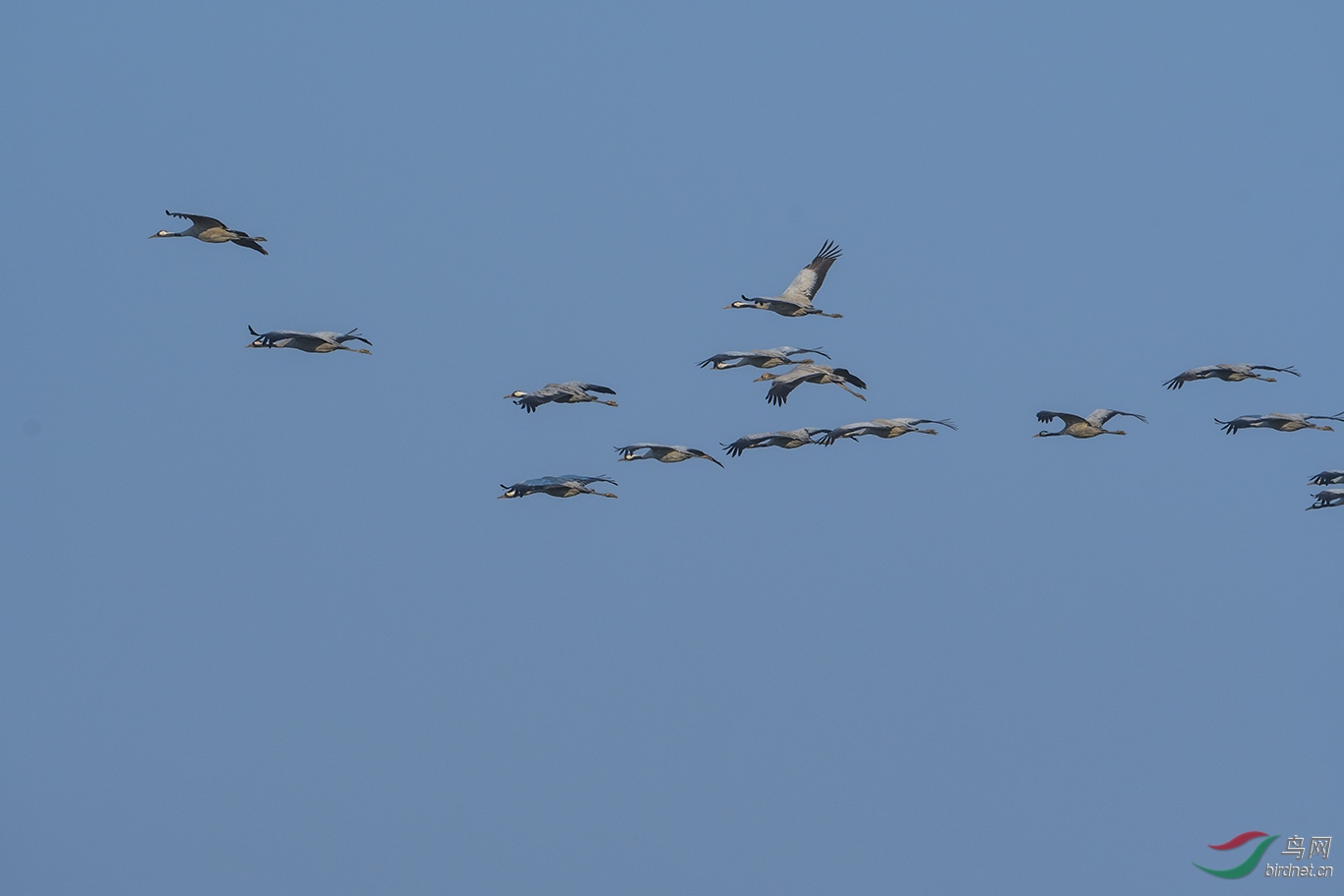 DSC_5335.jpg