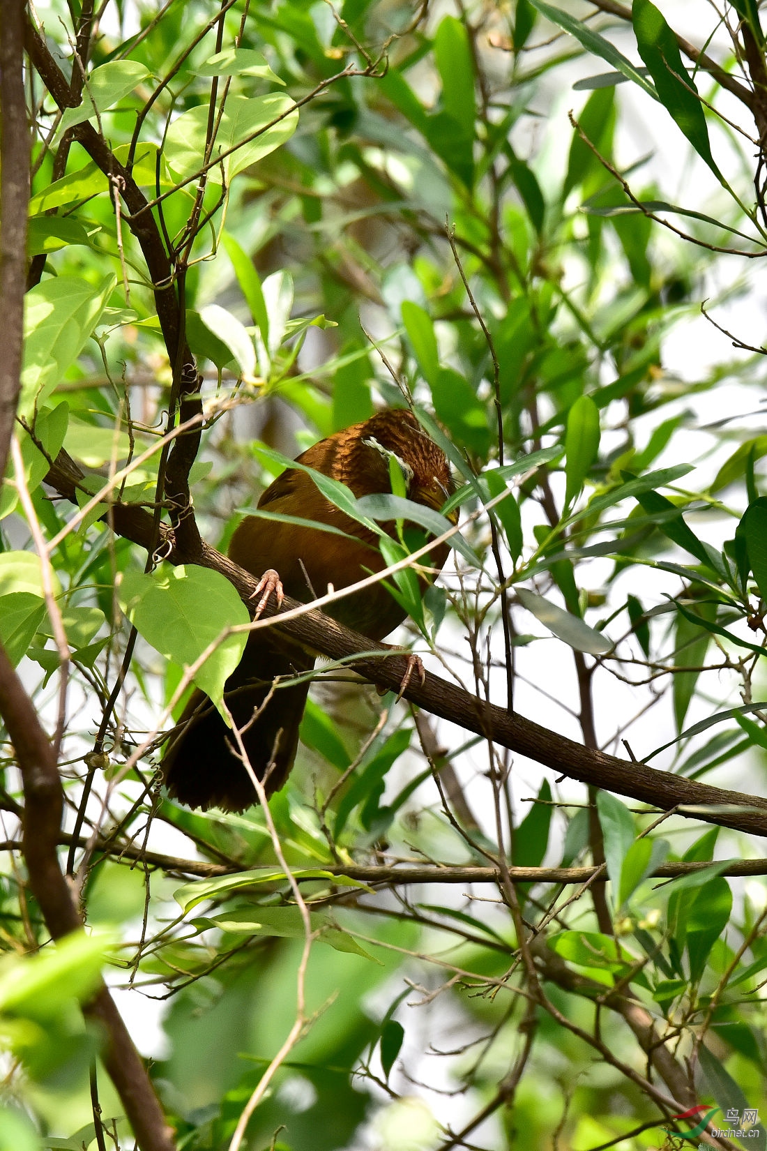 DSC_0696.JPG