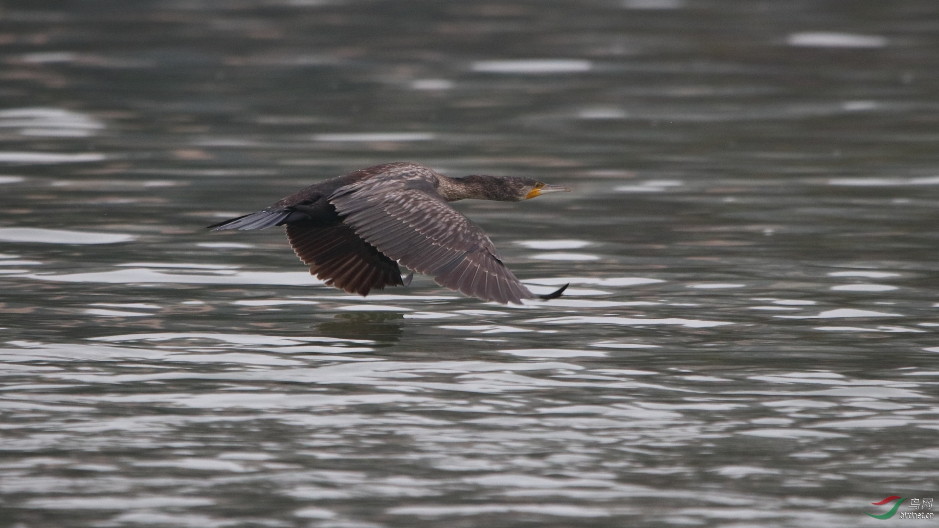 IMG_6632.JPG