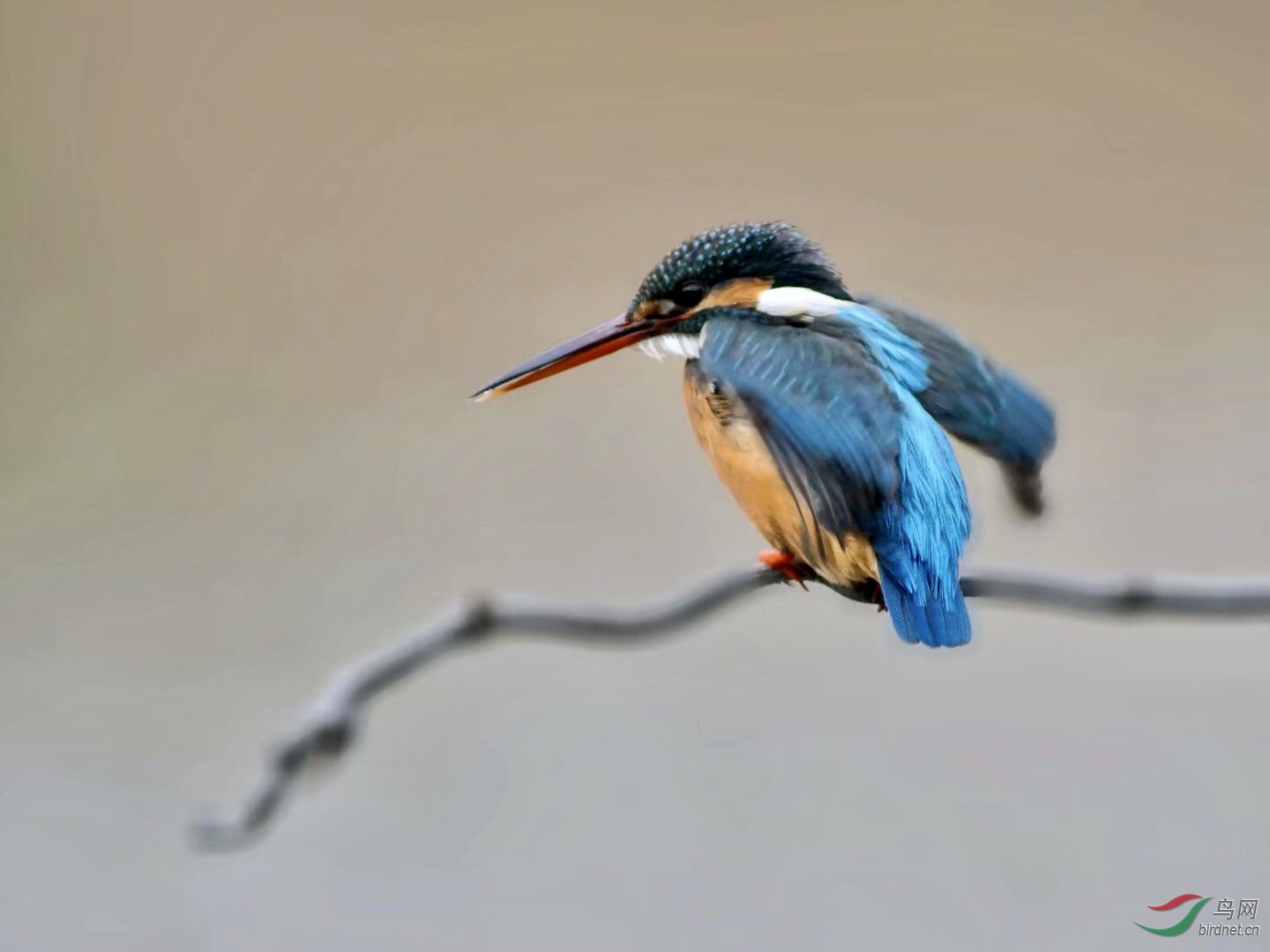 B2394CC5-B0C6-429B-880E-06044C9E7E37.jpeg