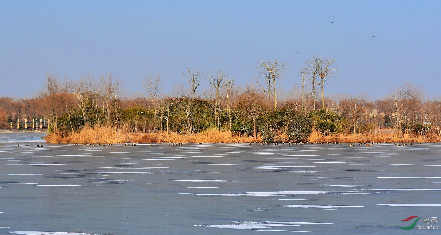 DSC_6240.JPG