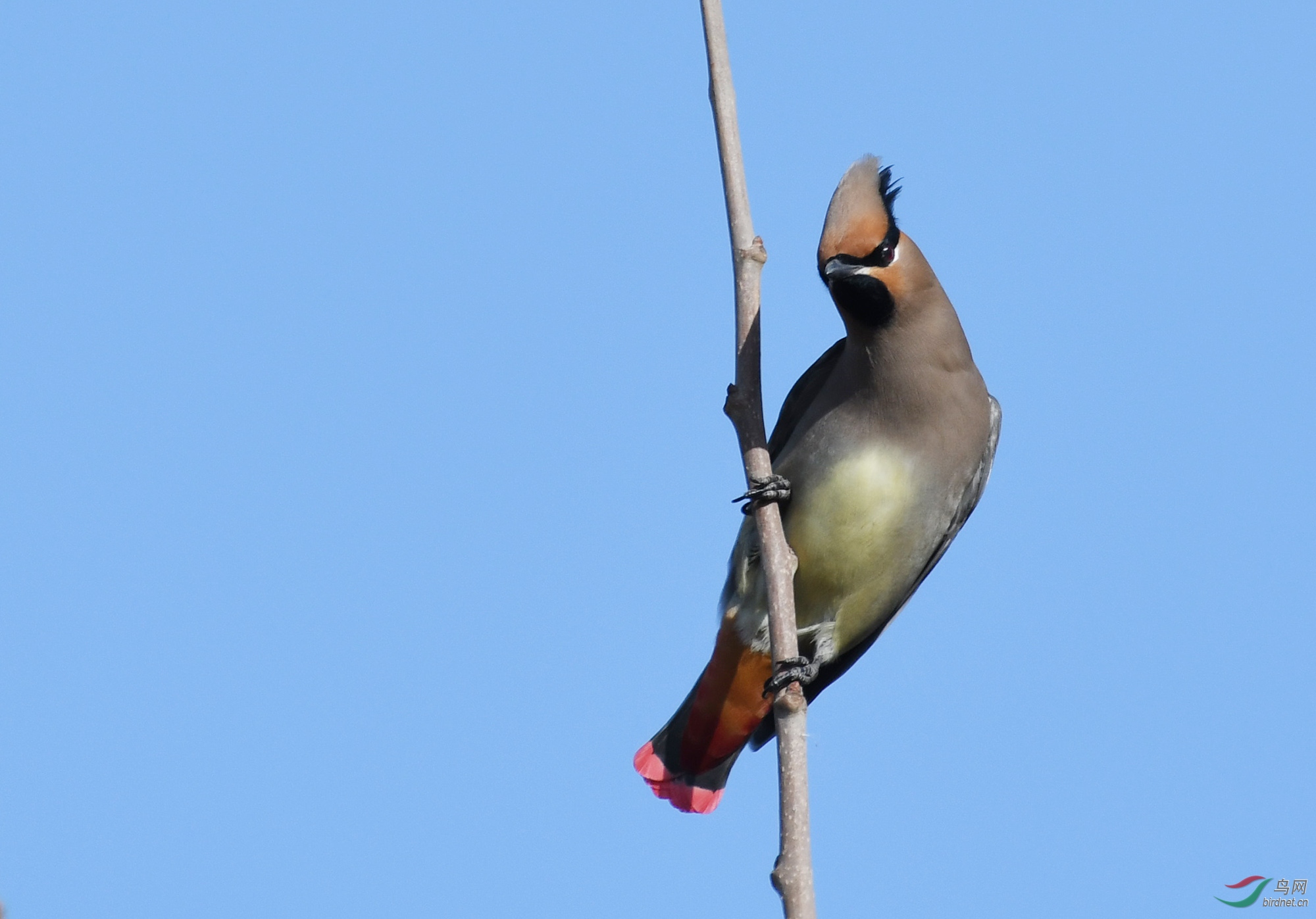 ������Ӱ 284����.jpg