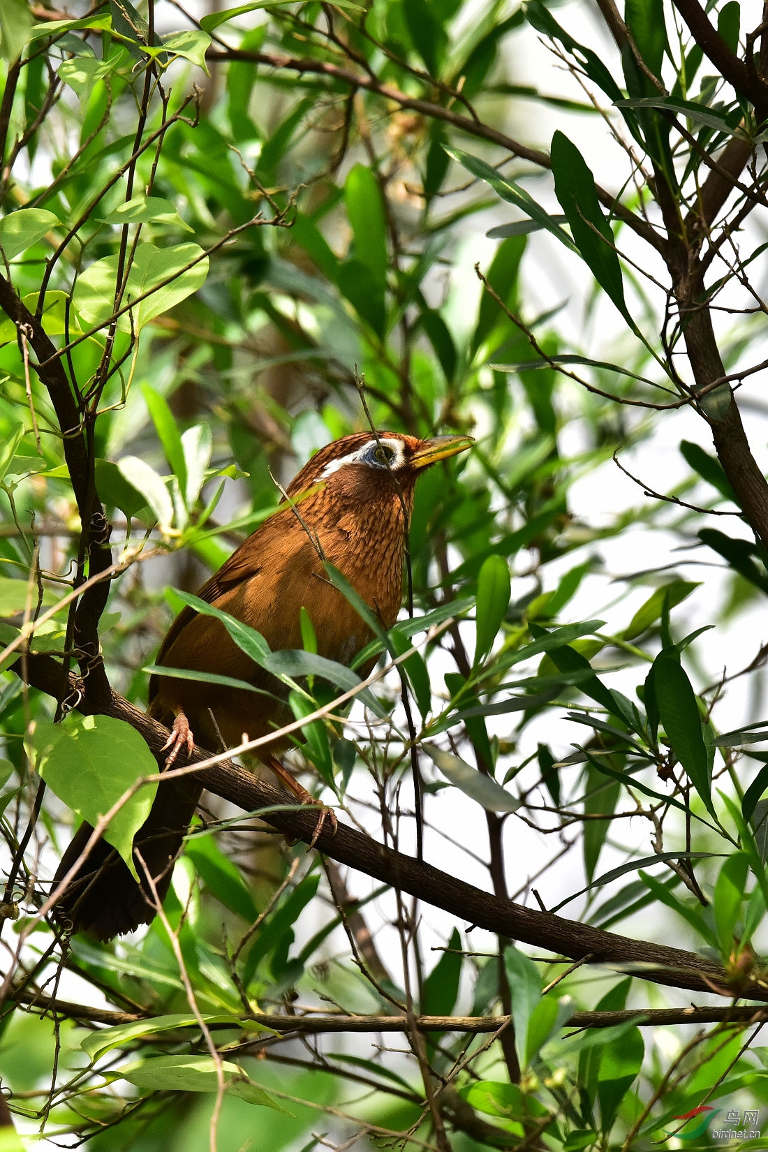DSC_0697.JPG