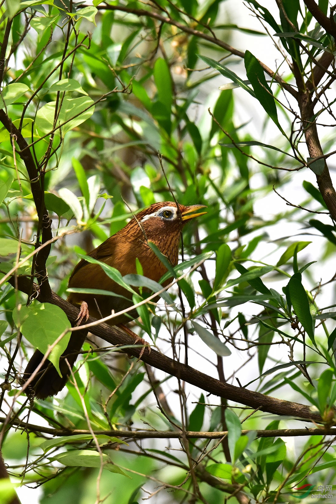 DSC_0698.JPG
