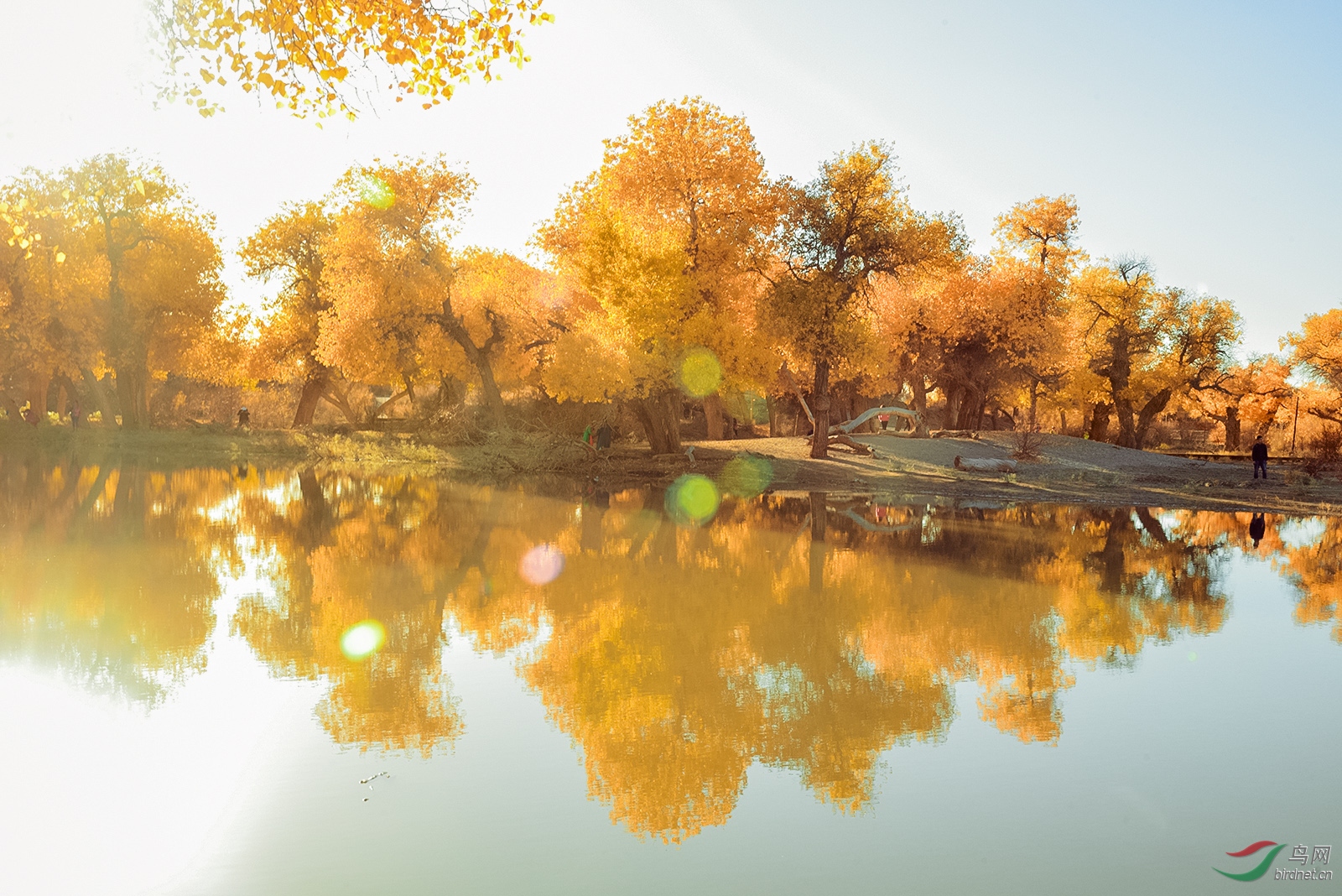 _D8A7608_15397a.jpg