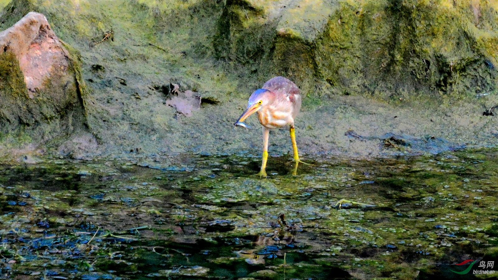 DSC_6329.JPG