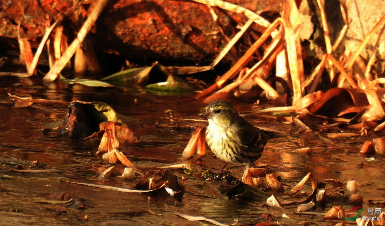 DSCN1370.JPG