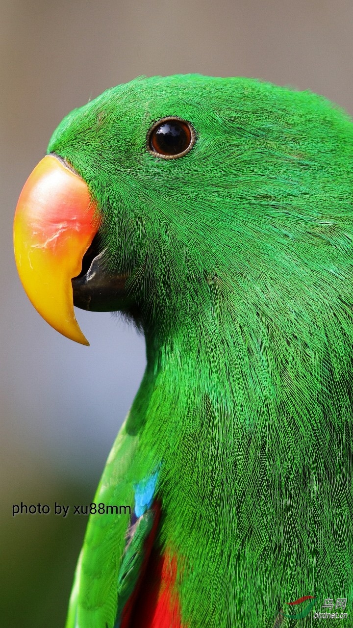 ����Լ4��