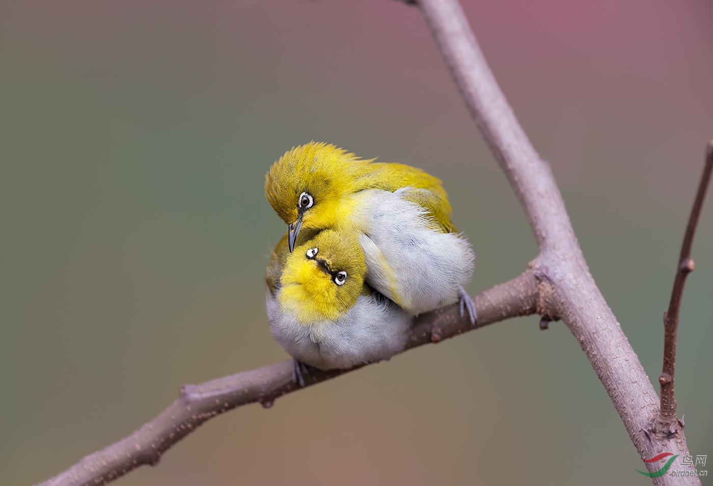 DSC_7164.jpg