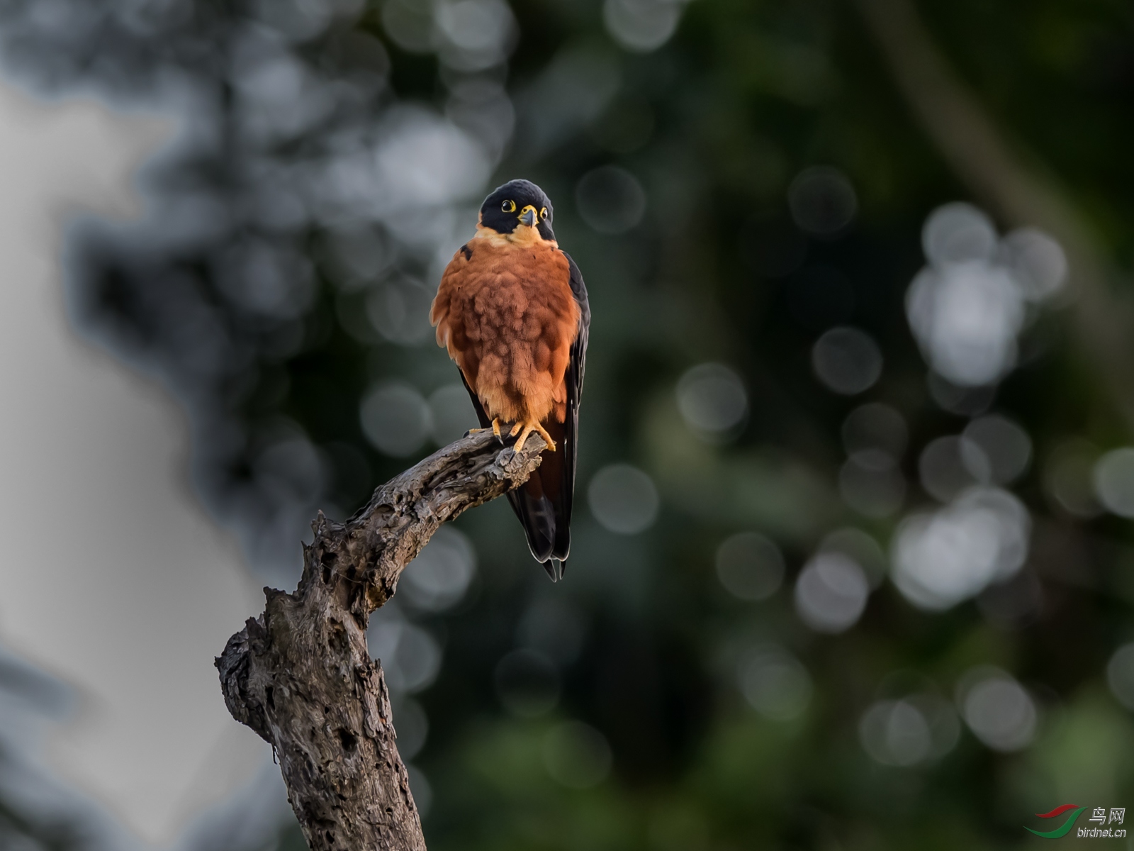 DSC_2789.jpg