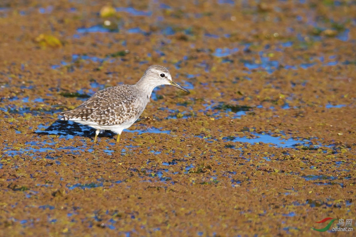 _DSC1403a.jpg