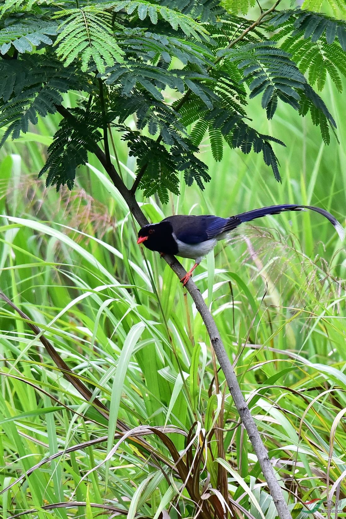 DSC_1129.JPG