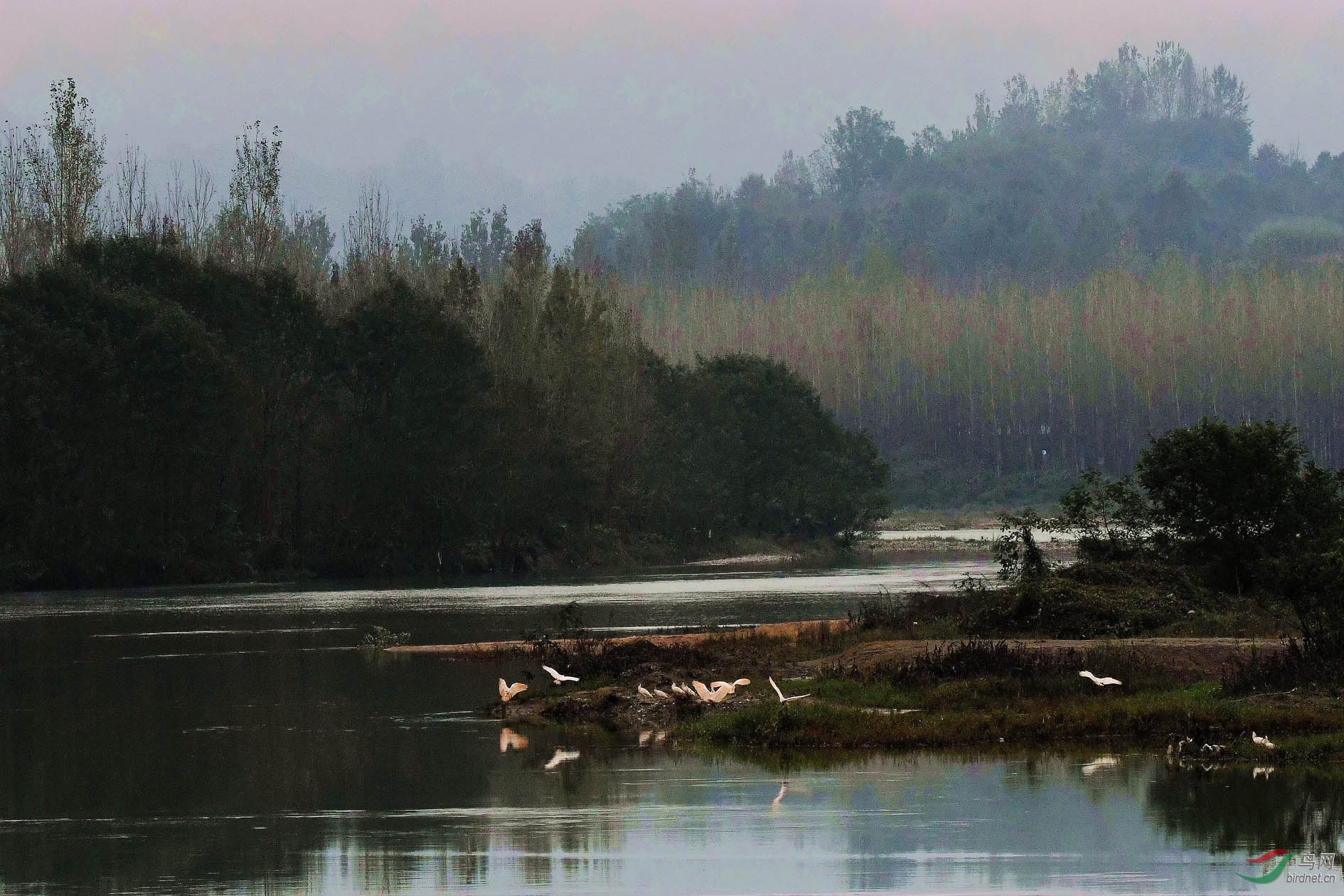 NIKON CORPORATION_NIKON D500_2989104-2991525_000.JPG