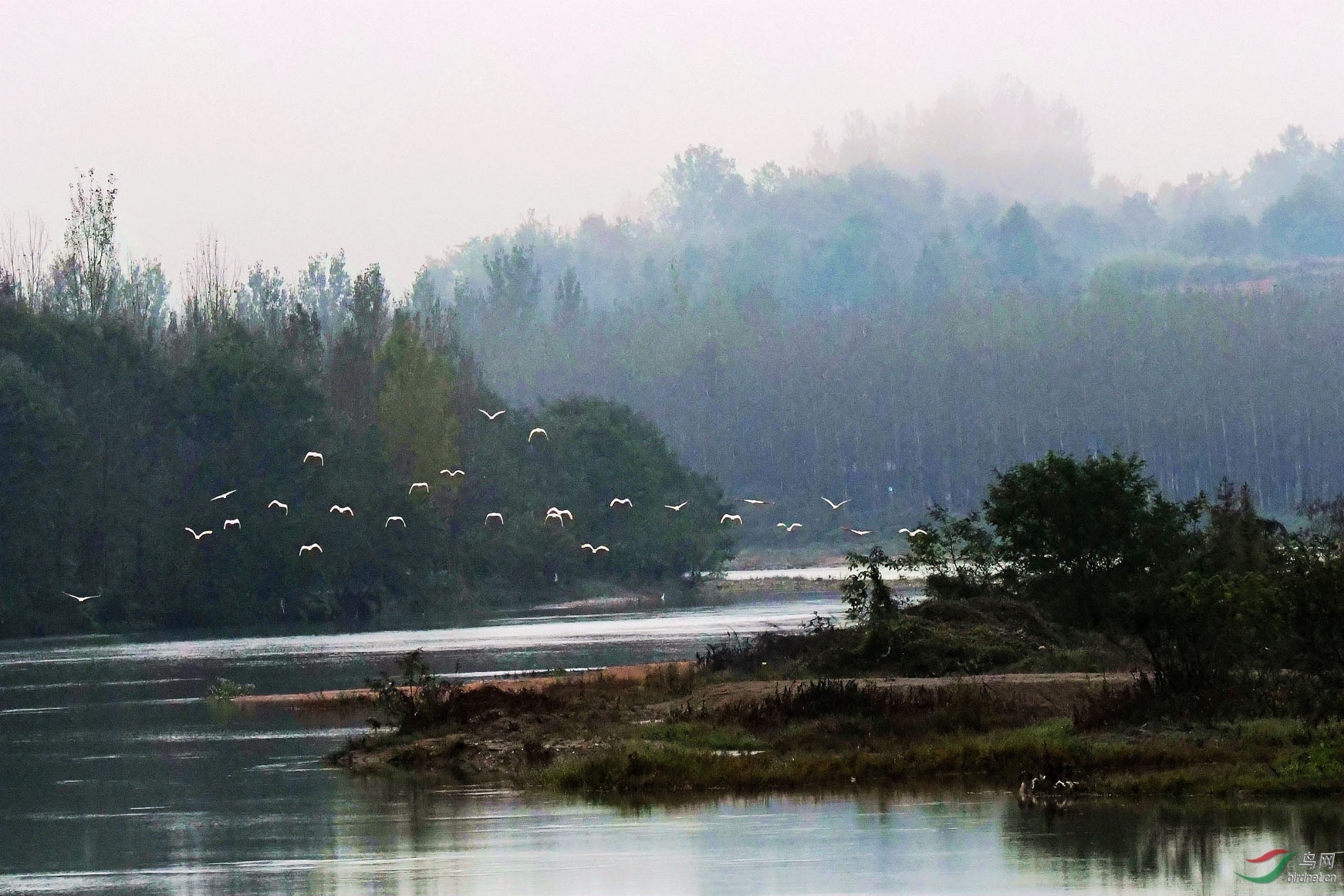 NIKON CORPORATION_NIKON D500_1297376-1299839_000.JPG