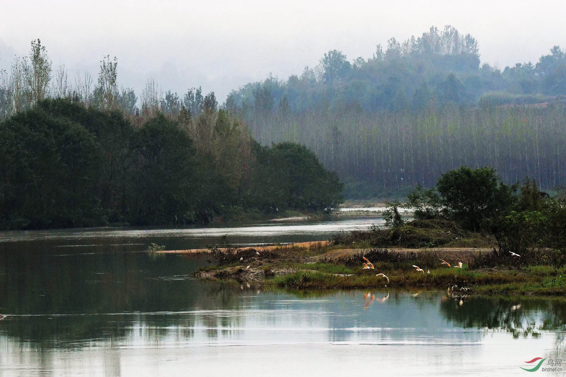 NIKON CORPORATION_NIKON D500_2781472-2783929_000.JPG