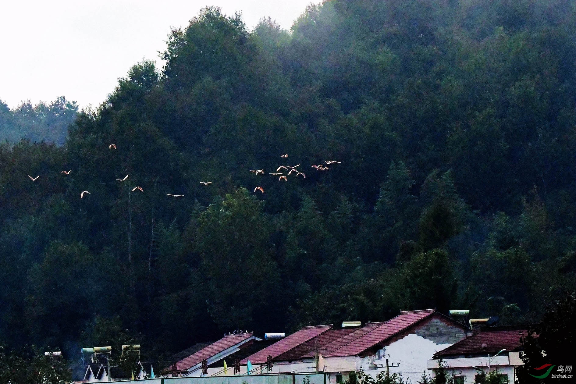 NIKON CORPORATION_NIKON D500_1637216-1639733_000.JPG