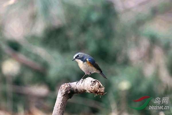 ��˼�� 362.jpg