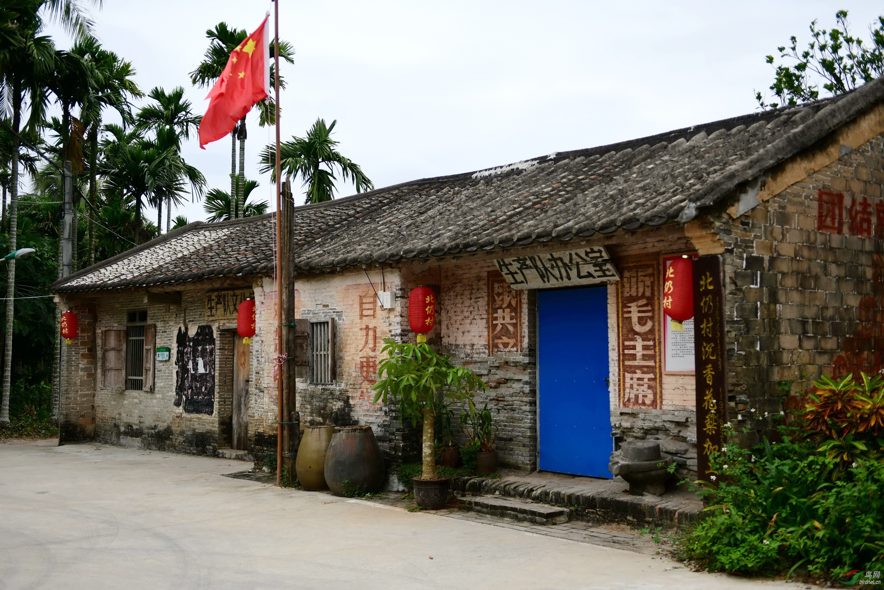 漫步北仍村贺获图文精华