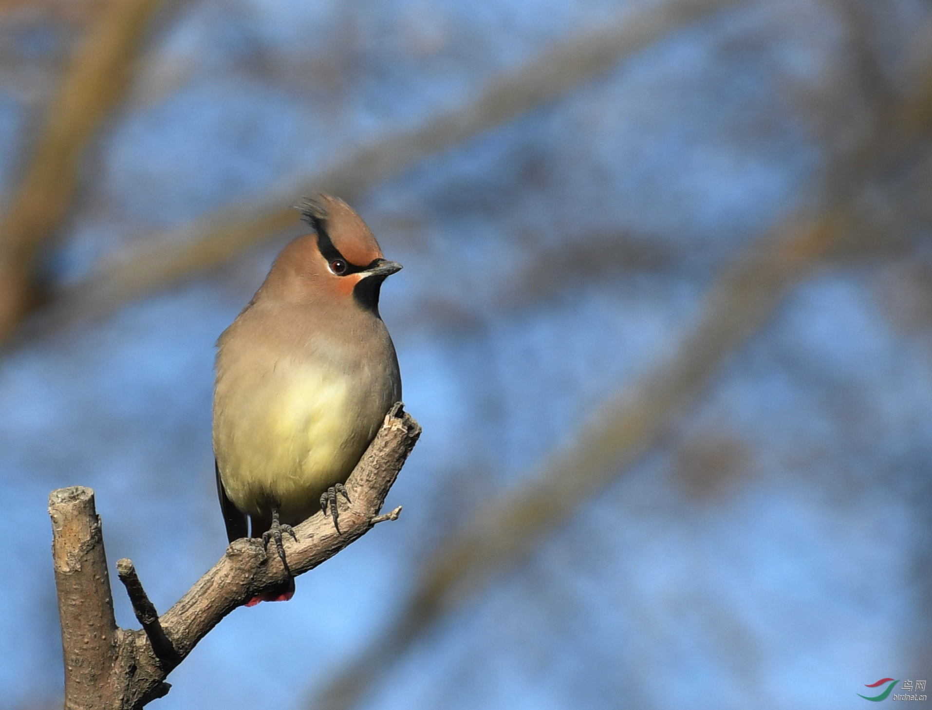 ������Ӱ 1192����.jpg