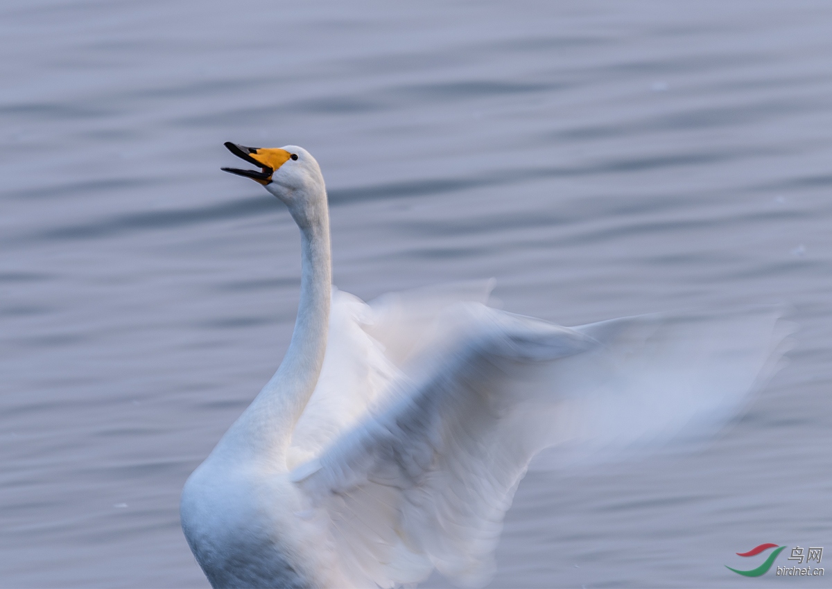 _DSC5932.jpg