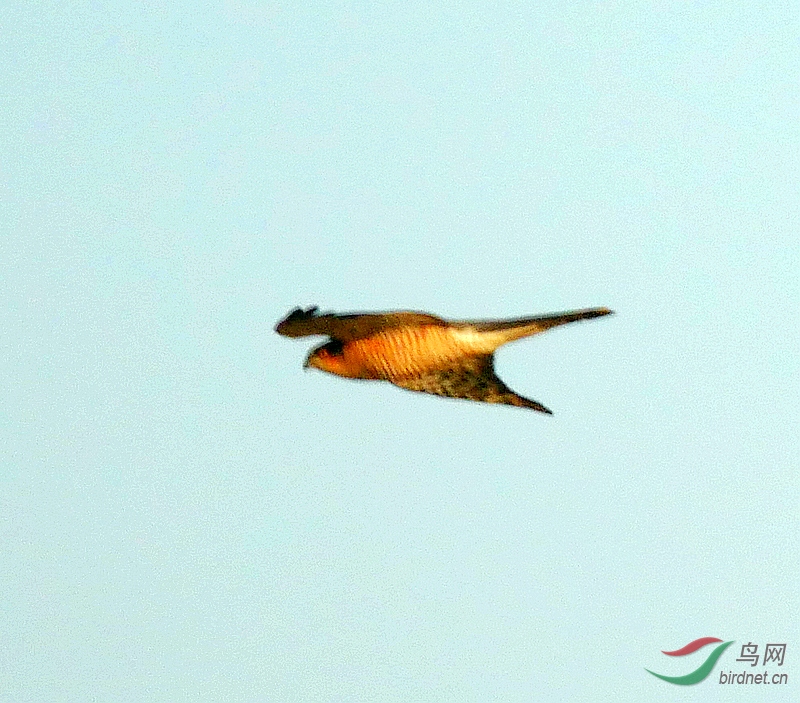 P3980759 - ����.JPG