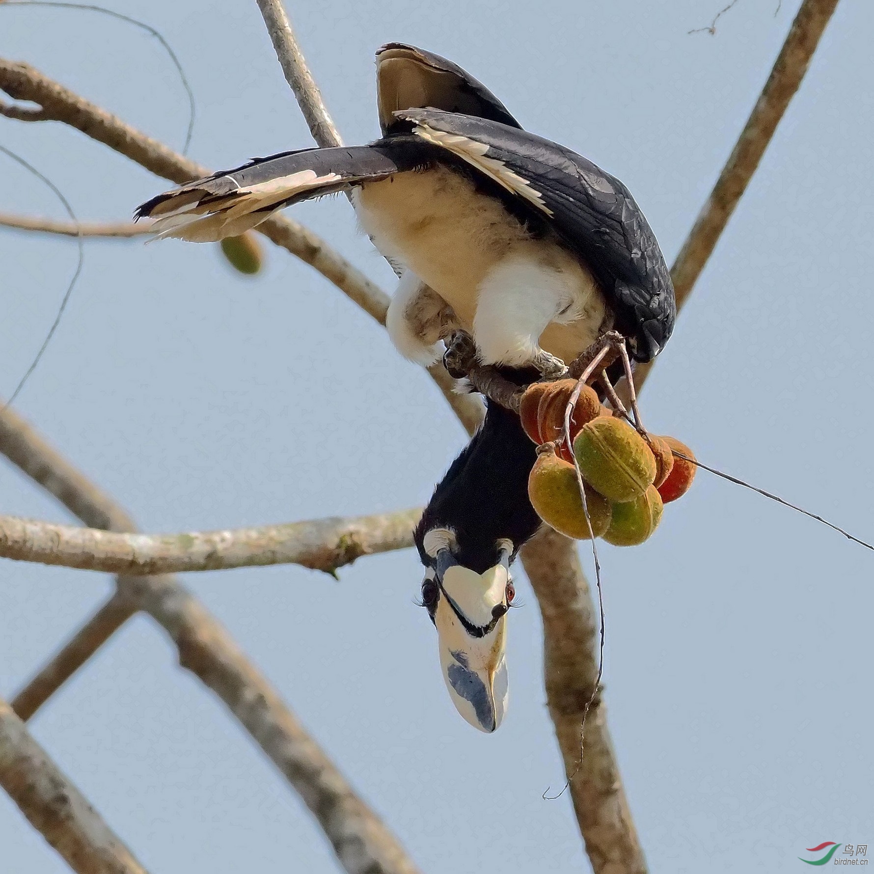 P3170286_����_DxO (����).jpg