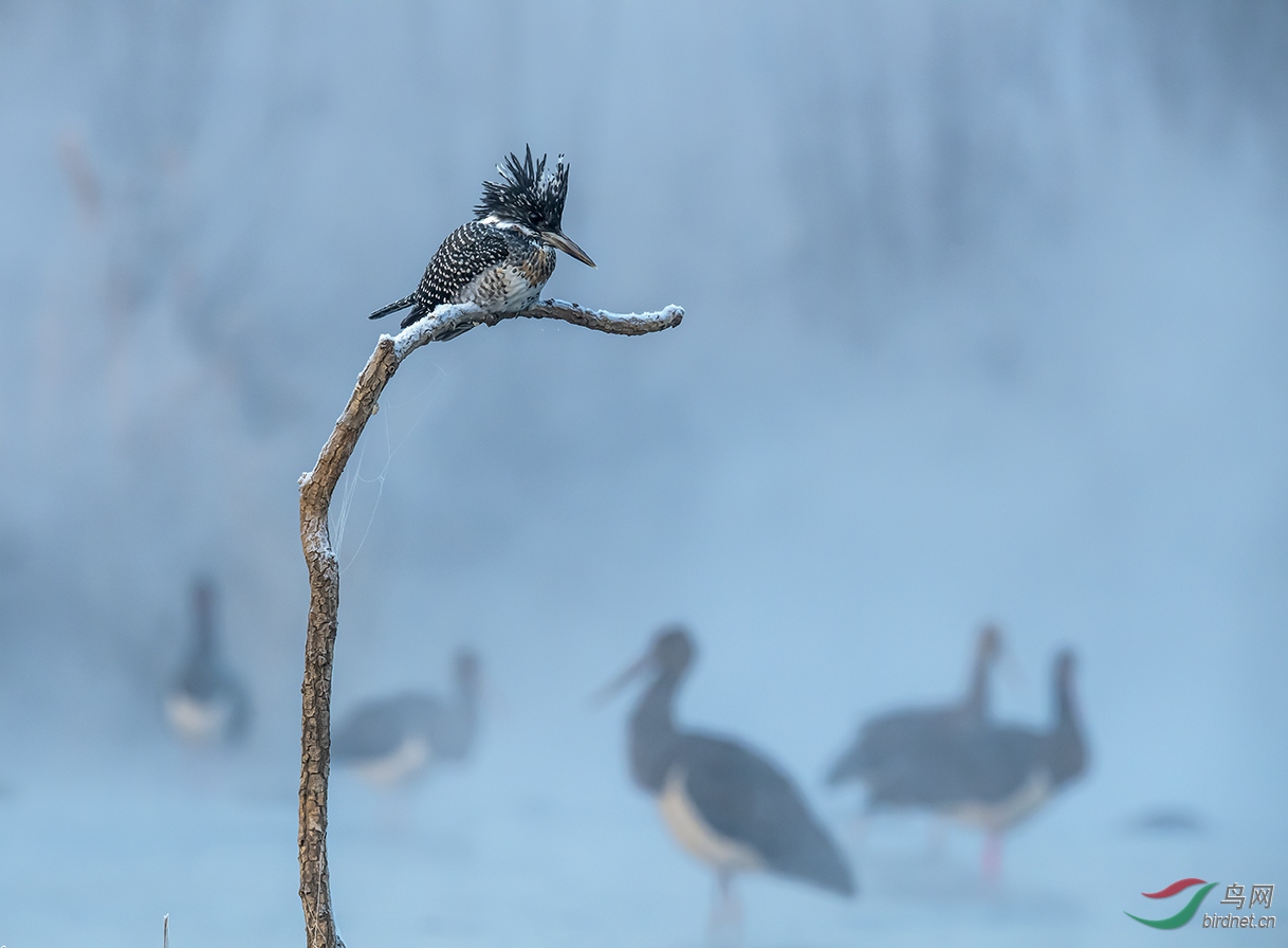 ������ʯ��ׯ������ұ��ʪ�ء�