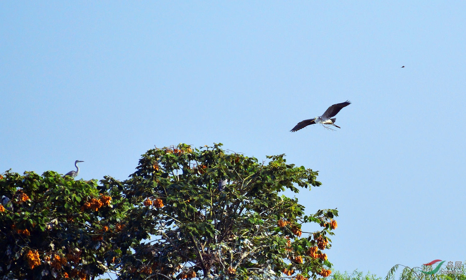 DSC_0971.JPG