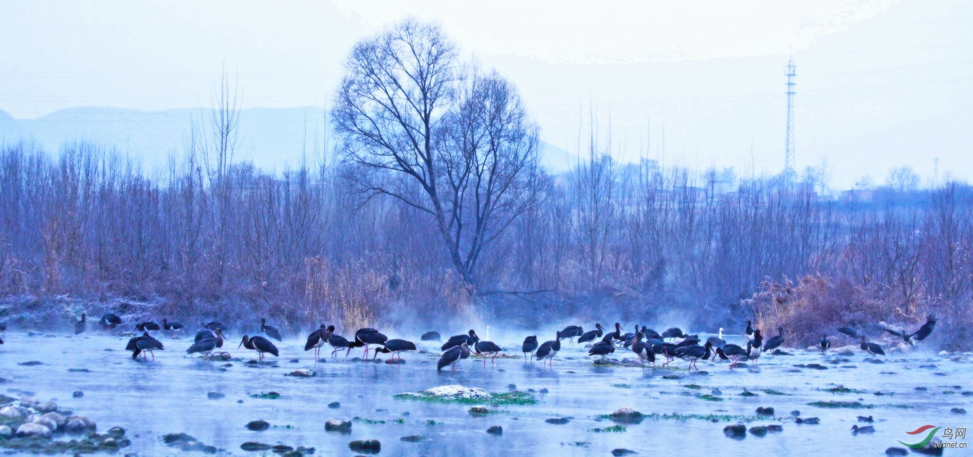 _MG_0513_2000 2.jpg