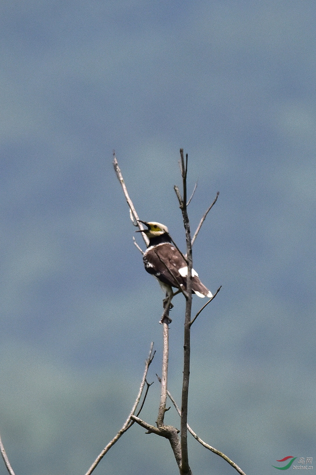 DSC_0708.JPG