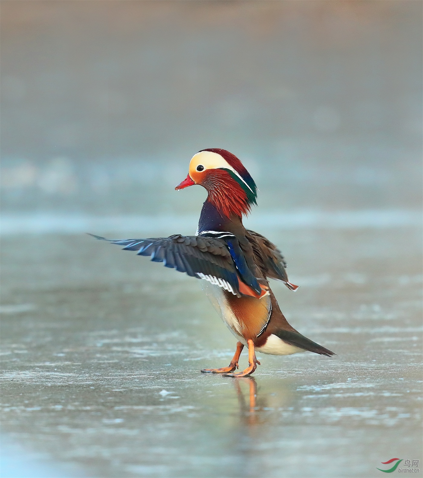 2 - ����.JPG