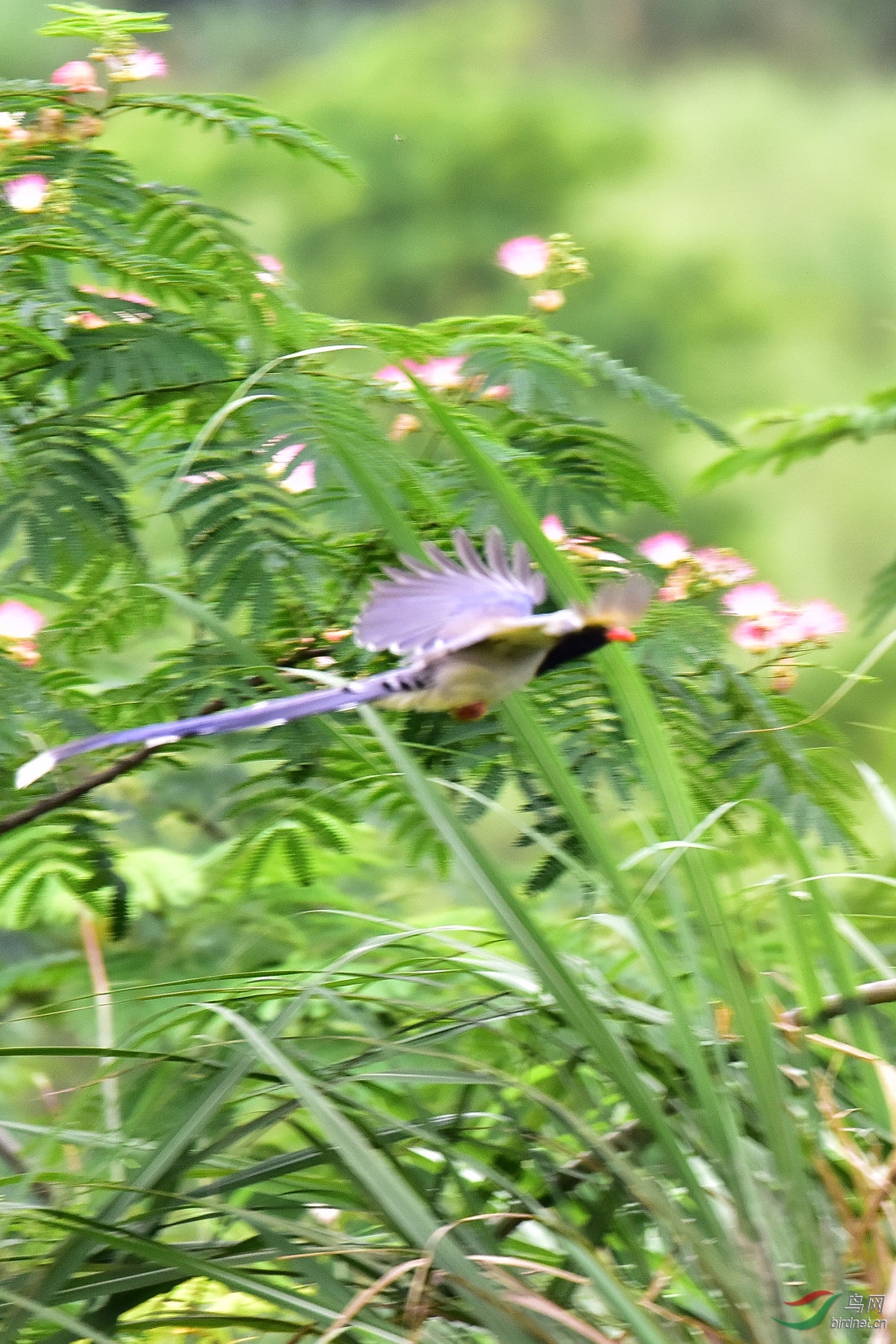 DSC_1142.JPG
