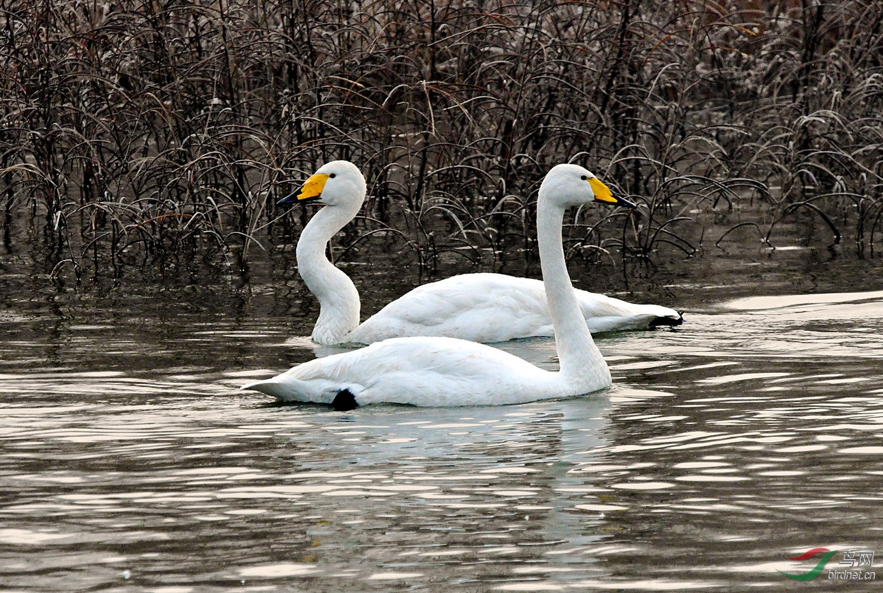 DSC_3517.jpg