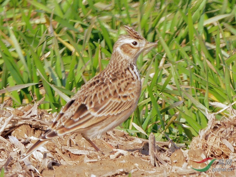 P4030355 - ����.JPG