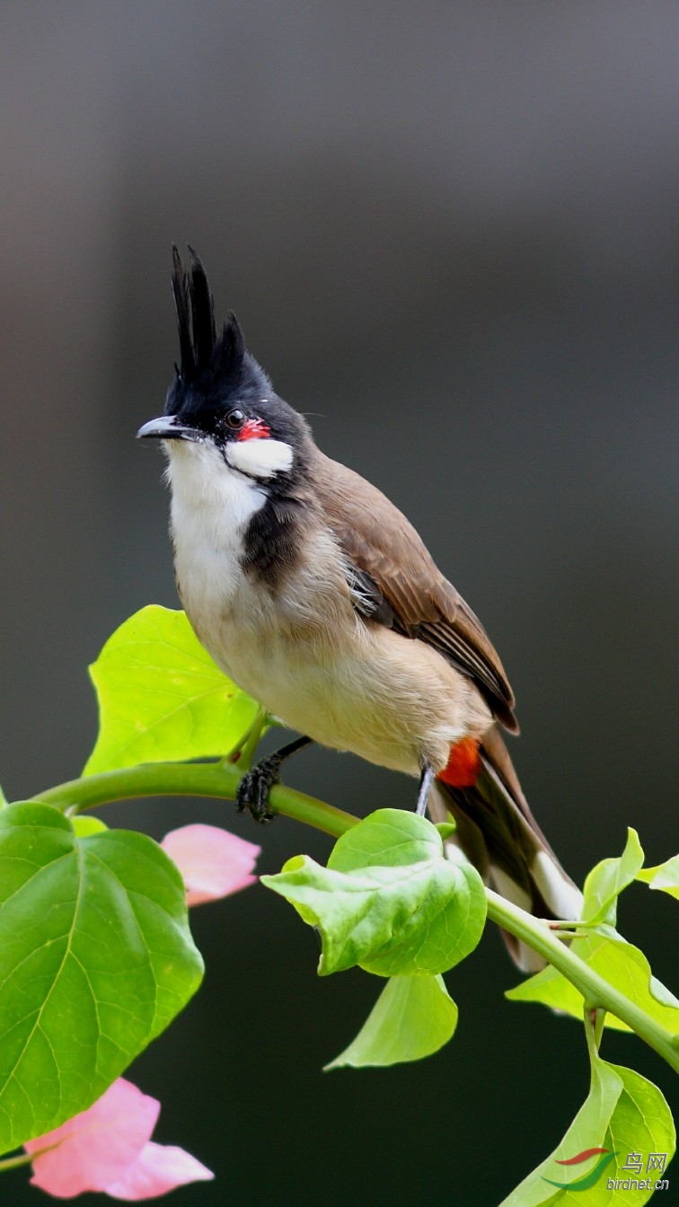 ����Լ6��