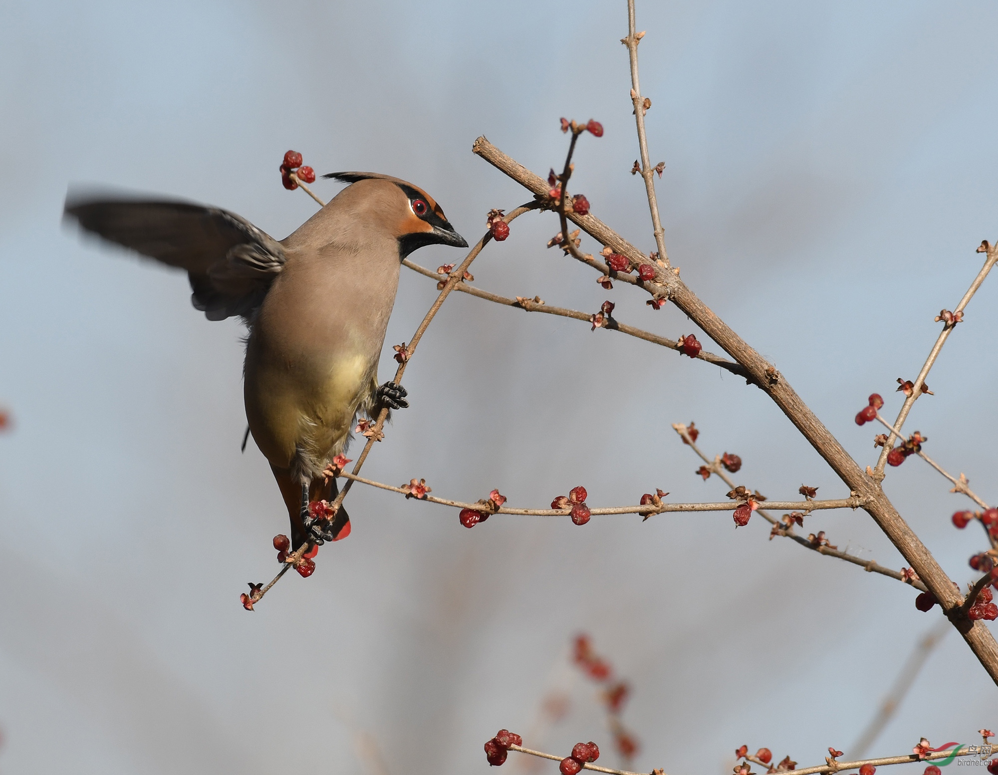 ������Ӱ 2121����.jpg