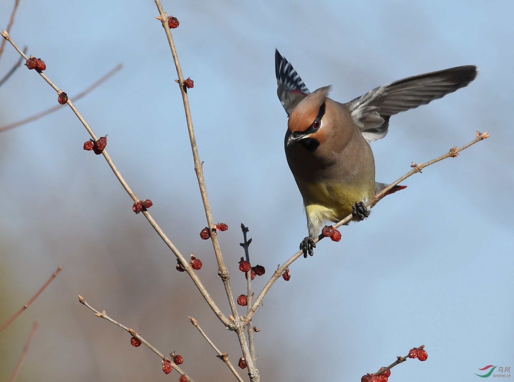 ������Ӱ 2050����.jpg